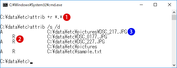 【Windows10】완전히 폴더/파일을 숨김(ATTRIB 명령어)