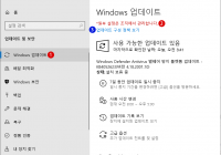 Windows Update 드라이버의 자동 업데이트를 비활성화하기