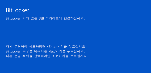 BitLocker 드라이브 암호화