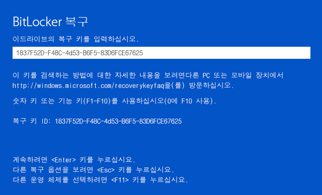 BitLocker 드라이브 암호화