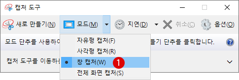 가상 컴퓨터에서 화면 캡처하기