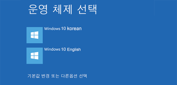 Windows 10 멀티 부팅 듀얼 부팅 운영 체제의 명칭 변경