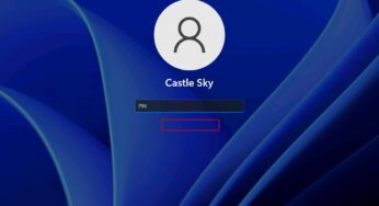 Windows 11 로그인 화면의 PIN 재설정을 비활성화하기 – 레지스트리 편집
