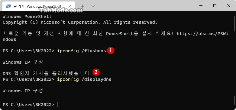 Windows 11 DNS 캐시를 플러시