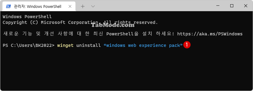 Windows 11 작업 표시줄의 Widget을 비활성화 삭제하는 방법