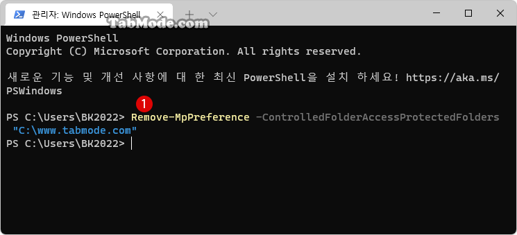 Windows PowerShell에서 허용된 특정 폴더 및 앱 제거하기