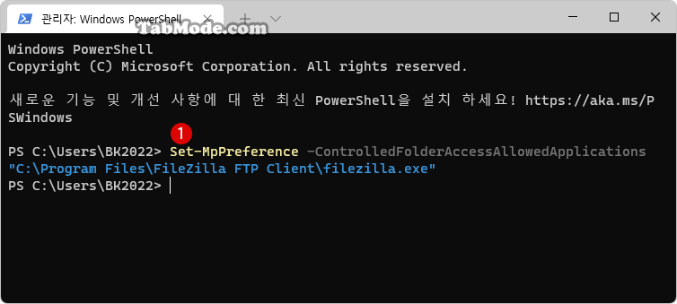 PowerShell에서 제어된 폴더 액세스를 통해 특정 앱을 허용하기