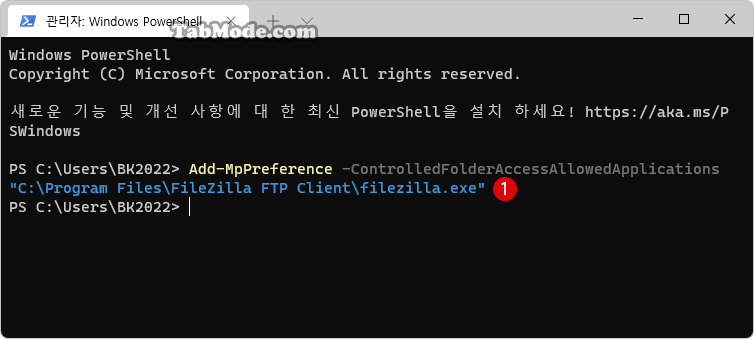 PowerShell에서 제어된 폴더 액세스를 통해 특정 앱을 허용하기