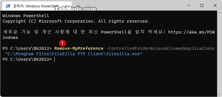 Windows PowerShell에서 허용된 특정 폴더 및 앱 제거하기