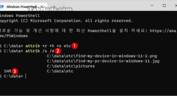 Windows 11 ATTRIB 명령어로 폴더와 파일을 완전히 숨기기