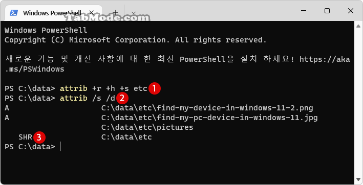Windows 11 ATTRIB 명령어로 폴더와 파일을 완전히 숨기기