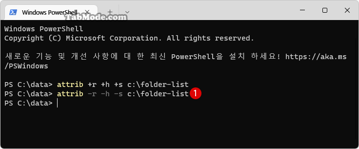 Windows 11 숨겨진 폴더를 다시 표시하기