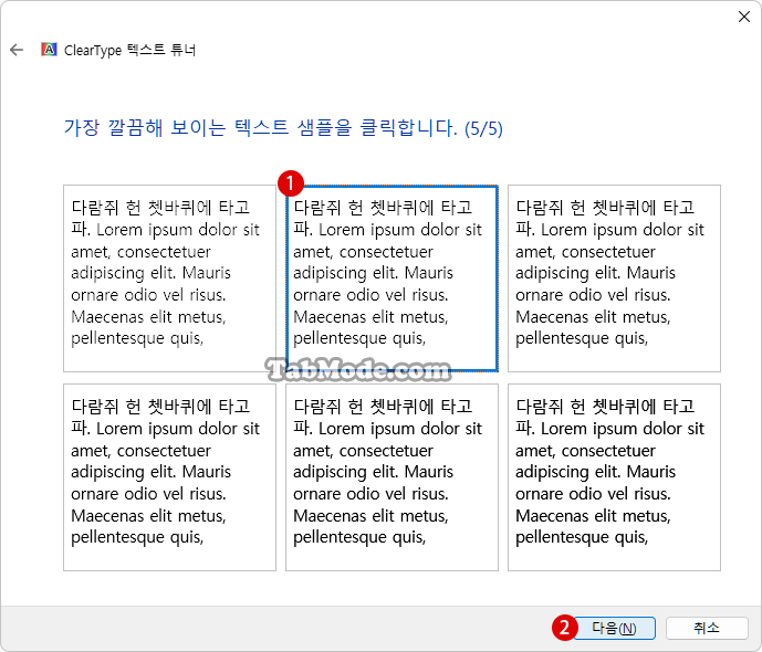 Windows 11 텍스트 조정하기