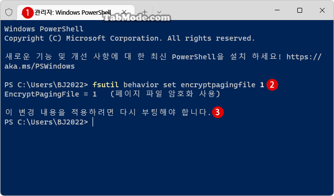 Windows 11에서 가상 메모리의 페이징 파일 암호화를 설정하기