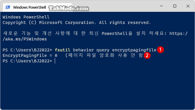 Windows 11에서 가상 메모리의 페이징 파일 암호화를 설정하기