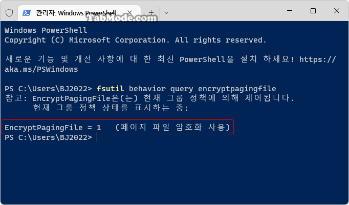 Windows 11에서 가상 메모리의 페이징 파일 암호화를 설정하기