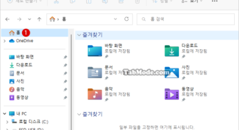 Windows 11 파일 탐색기의 탐색 창에서 홈 Home 삭제하기