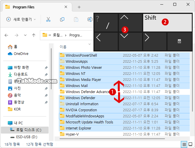 Windows 11 파일 탐색기에서 항목을 선택하는 방법