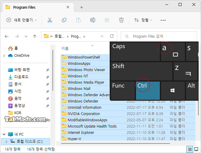 Windows 11 파일 탐색기에서 항목을 선택하는 방법