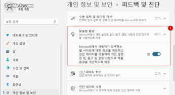 Windows 11 사용자 지정 맞춤형 환경을 비활성화하기