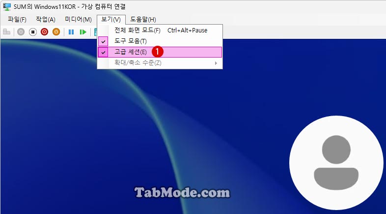 Windows Hyper-V 가상 컴퓨터의 고급 세션 로그인 화면 오류 대책