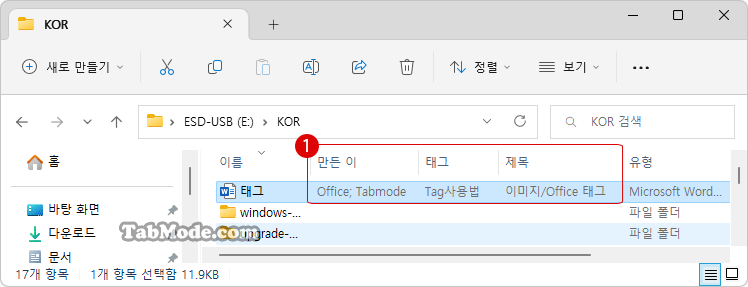 Windows 11 이미지 파일